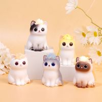 [正版]花与猫盲盒卡通女生可爱猫咪摆件手办公仔女孩小玩具礼物 花和小猫小灯盲盒随机一个