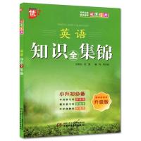 小学数学英语知识全集锦小升初升级版冠军宝典小学语数英知识大全 英语