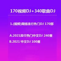 车载音乐U盘中文DJ全视频歌曲2021流行热门经典dj歌曲16/32/64g 16G 170视频+340歌曲DJ