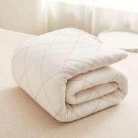 棉被垫被床垫棉花被芯棉被子冬天加厚学生宿舍春秋被褥棉胎被 90CM*200CM 3斤