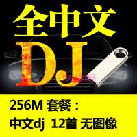 车载u盘全DJ高音质车用2021抖友新歌曲mp3无损dj流行mp4音乐usb盘 256M中文dj 12首无图像