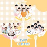 TNT时代少年团周边迷你小透扇钥匙扣马嘉祺宋亚轩刘耀文同款扇子 TNT迷你透扇(1包3把)