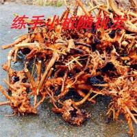 黄荆盆景舍利老桩黄荆下山桩现挖花卉盆栽绿植盆栽室内好养南北种 小老桩随机发1个(巴掌大)