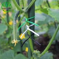 园艺花卉盆栽植物爬藤造型绑线包塑铁丝捆扎线 花艺手工diy软扎丝 朵维绑线20米-绿色. 1卷