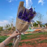 多头玫瑰干花花束蔷薇泡泡小清新ins复古风拍照道具家居装饰真花 A款紫勿草