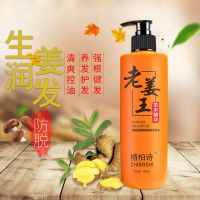 植柏诗芙缇生姜防脱育发洗发水老姜王洗发水姜疗生姜洗发水380ml 380ml 正常规格