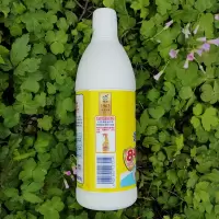 白猫洁厨用漂水700g 白猫厨房餐具消毒漂白水含84消毒液精华