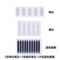 钢笔10/5支装墨囊墨水两用学生钢笔套装六年级儿童可换可擦钢笔 5支大笔尖+5支小笔尖+10支蓝囊 男生款