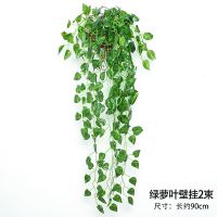 仿真植物花藤条壁挂装饰花藤蔓室内客厅墙面塑料假花金钟柳吊篮花 绿萝壁挂一束(无赠品)