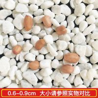 50斤白色石子石头大鹅卵石庭院花园铺路铺地小白石头枯山水白石子 20斤白石子 0.6-0.9cm