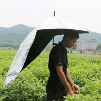 采茶伞钓鱼伞采茶伞可背式遮阳伞超轻头帽伞户外防晒创意晴雨户外 普通款 无遮挡