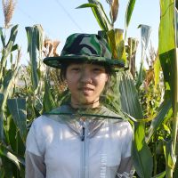 掰玉米帽子秋收遮脸农活防晒帽防蚊虫防护帽子迷彩透气砍甘蔗帽子 丛林迷彩