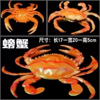 大号BB哨软胶仿真龙虾螃蟹模型玩具塑胶静态海洋动物儿童认知礼物 桔红色 大螃蟹