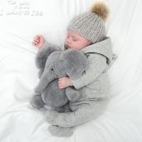 安抚婴儿陪睡小象公仔抱枕毛绒玩具布娃娃儿童玩偶送宝宝生日礼物 长鼻小象 30厘米