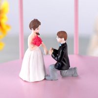 Marry me结婚娃娃摆件人物婚房装饰求婚情侣微景观公仔 白色裙子情侣一对