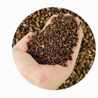 儿童决明子玩具沙池枕头芯套装护颈椎家用散装枕芯装宝宝沙滩玩子 1斤(500g很少)