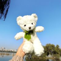 可爱泰迪熊毛绒玩具公仔儿童玩偶大熊抱枕布娃娃女孩生日毕业礼物 丝巾白色 28厘米