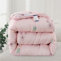 【清仓】被子冬被加厚保暖被芯冬季棉被春秋被单双人学生宿舍被褥 小清新玉 150x200cm夏被（2.2斤）