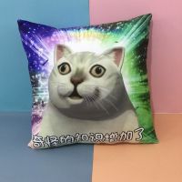 二次元创意恶搞mur猫抱枕表情包沙雕靠垫毛绒玩具抱枕生日礼物[8月24日发完] 知识增加 mur猫10厘米左右小挂件