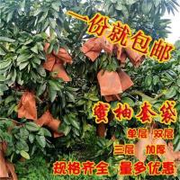 柚子防虫保护袋水果树上包装袋果树果实袋套袋专用套果袋包果袋 葡萄柚单层20*24cm(100个)