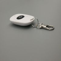 智能面板灯具开关无线遥控开关 水泵无线开关 水泵遥控器 通断器 鸭蛋遥控器单买链接