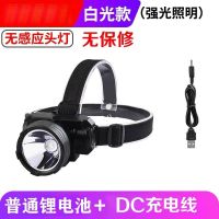 头灯强光led充电超亮头戴式多功能远射灯夜钓鱼灯矿灯防水300米 4000白光[迷你特价款]