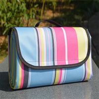 防潮垫户外双人野餐垫野炊地垫防水加厚草坪垫子郊游沙滩垫帐篷垫 玫红条纹 100*150