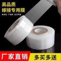 环保嫁接膜果树接树膜树苗膜工业膜缠绕膜自粘PE保护膜塑料膜薄膜 PE嫁接膜3CM 1卷