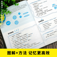 小学英语基础知识手册+小学英语语法大全(2册)一二三四五六年级小学英语教材 英语绘本 小学英语单词大全 小学英语语法专练