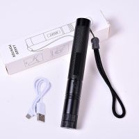 激光手电绿光USB充电激光灯强光远射售楼沙盘指示笔驾校镭射灯笔 [绿激光+usb充电线]送满天星