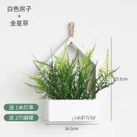 创意客厅墙上装饰品挂件餐厅沙发背景墙布置仿真花卧室房间挂饰品 白色房子+金星草