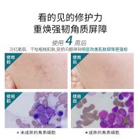 拾颜轨迹修护保湿面霜50g清爽保湿补水修护屏障敏感肌护肤品面霜