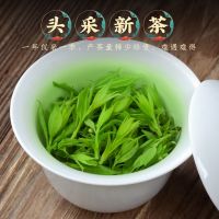 小叶苦丁茶花草茶2021新茶四川青山绿水嫩芽单叶大叶苦丁茶叶散装 50克