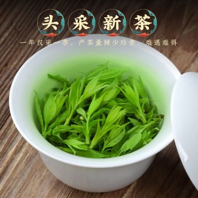 小叶苦丁茶花草茶2021新茶四川青山绿水嫩芽单叶大叶苦丁茶叶散装 50克