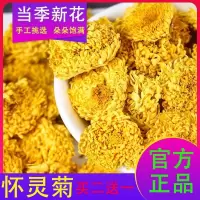 怀灵菊特级菊花茶野生菊花茶河南焦作特产50克—200克 50克买二送一枸杞