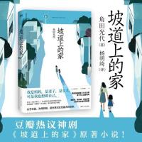 房思琪的初恋乐园正版 心碎却无能为力的故事 向生而死的文学绝唱 坡道上的家试读两页/不是书