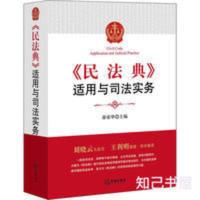 《民法典》适用与司法实务 司法案例/实务解析 适用与司法实务