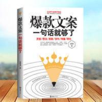 好文案一句话就够了 赠文案经典案例集 文案策划从入门到精通 文案一句话就够了