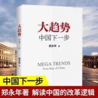 大趋势 中国下一步大趋势 郑永年解读中国的改革逻辑 大趋势中国下一步增订版 贸易与理性郑永年解读中国的改革逻辑