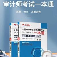 2021年版初中级审计师专业技术资格考试辅导教材实务+相关知识2本 考试一本通全套2本