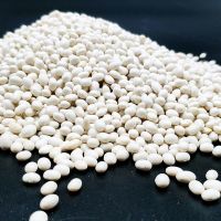 2020新云南大白芸豆腰豆京豆四季豆米杂粮粗粮散装0.5/1/2/3/5斤 白芸豆 半斤(试吃装)