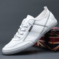 布鞋子男2021新款帆布鞋男鞋夏季透气软底百搭小白鞋韩版潮流板鞋 白色21011 38