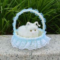 仿真会叫猫咪毛绒玩具儿童玩偶花篮提篮猫咪小兔小狗教学动物模型 仿真小绵羊 不叫 花边提篮