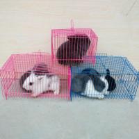 兔笼特大号兔子笼子荷兰猪豚鼠垂耳兔养殖笼宠物兔荷兰鼠大号 运输笼2个装