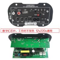 低音炮蓝牙功放板音箱主板电脑音响功放插卡1224车载低音炮功放板 5寸12v220v数字功放板 蓝牙款