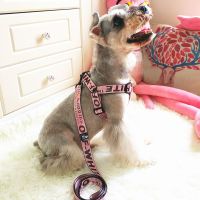 狗狗牵引绳泰迪可爱狗链子金毛拉布拉多哈士奇萨摩小中型犬遛狗绳 粉色 S码（牵引绳+胸背）