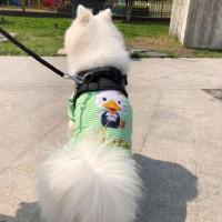 宠物狗狗的衣服金毛夏装薄款萨摩耶阿拉斯加狗大型犬夏天透气大狗 大头鸭条纹四脚 绿色 3XL