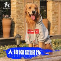 胡须叔叔潮牌大狗衣服中大型犬衣服秋冬金毛萨摩拉布拉多阿拉斯加 浅灰色SP卫衣(加绒厚款) 小型犬XL(15-20斤)