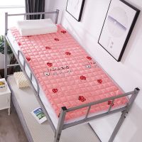 法兰绒冬季幼儿园午睡床垫午托班婴儿床垫被学生宿舍单人床褥垫子 粉红草莓[法兰绒2cm厚] 0.4x0.4米床[儿童床]