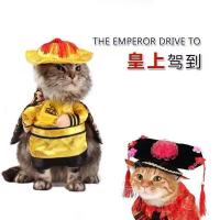 搞怪万圣节宠物变身衣服直立装猫咪狗狗衣服泰迪宠物用品 皇帝装 S-约7斤内